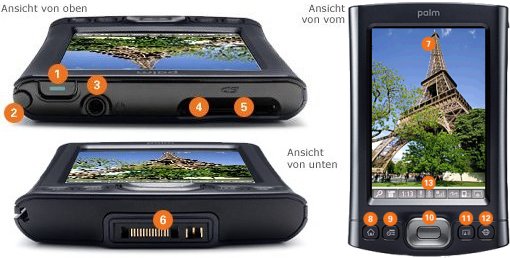 Palm T|X, Palm T|X,
