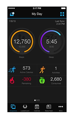 Bild Garmin Connect App