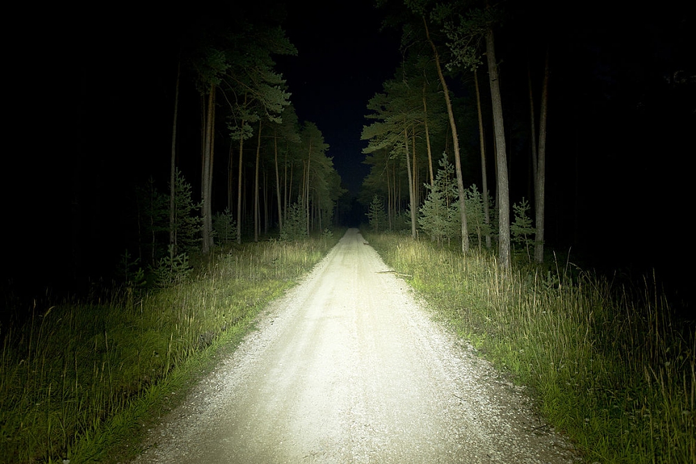 Bild Lupine Betty TL2 Ausleuchtung im Wald mit 2650 Lumen