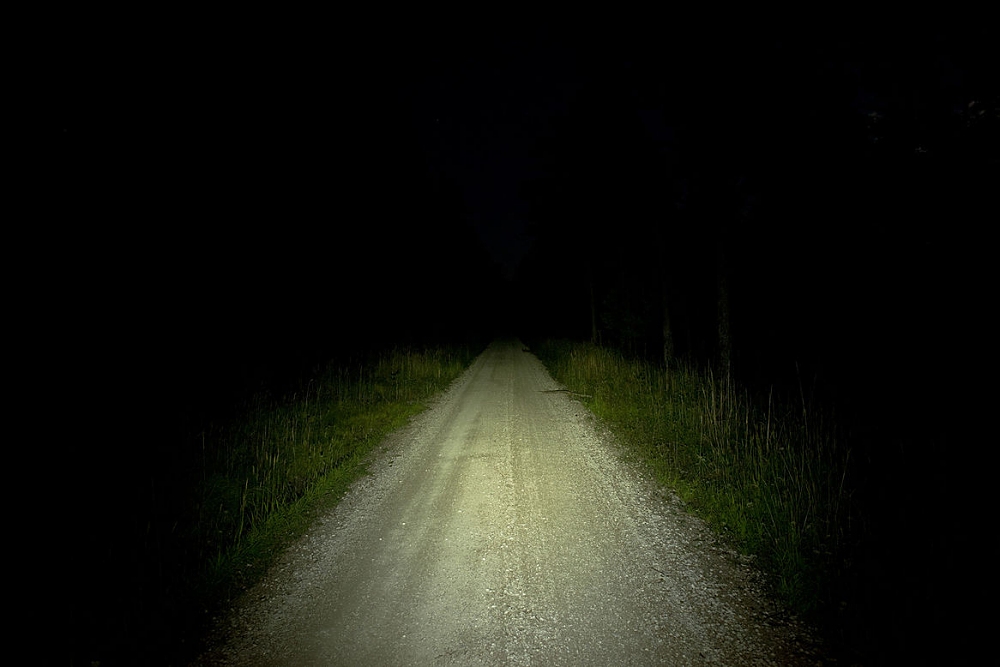 Lupine Betty TL2 Ausleuchtung im Wald mit 270 Lumen Bild Lupine Betty TL2 Ausleuchtung im Wald mit 270 Lumen