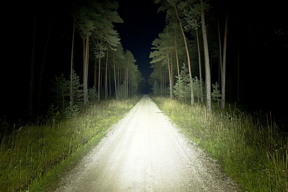 Bild Lupine Betty TL2 Ausleuchtung im Wald mit 5000 Lumen