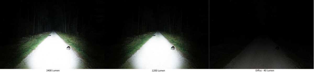 Lupine Blika Leuchtstufen Vergleich auf einem Feldweg
