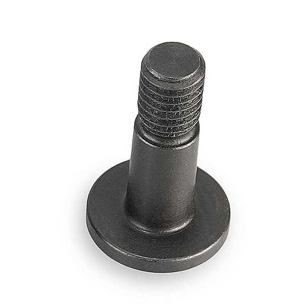 Lupine GoPro Schraube (1115X)