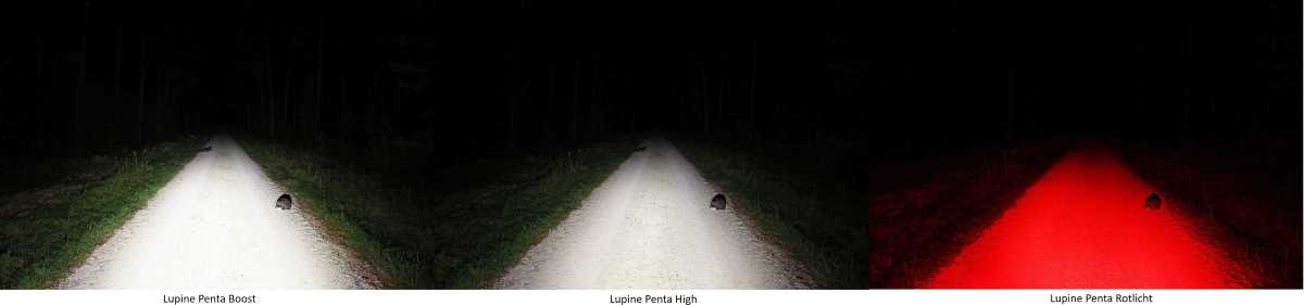 Lupine Penta Leuchtstufen Vergleich auf einem Feldweg