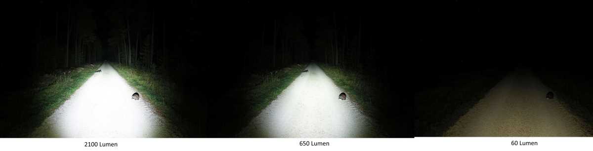 Lupine Piko Leuchtstufen Vergleich auf einem Feldweg