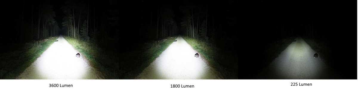 Lupine Wilma Leuchtstufen Vergleich auf einem Feldweg