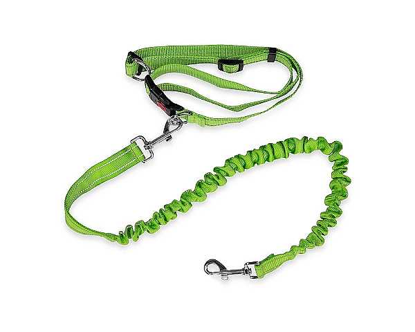 Qeridoo Joggerband (A-JRBD-24-GN)