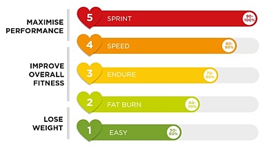 Tabelle mit Herzfreqeunzbereichen für optimales Training.